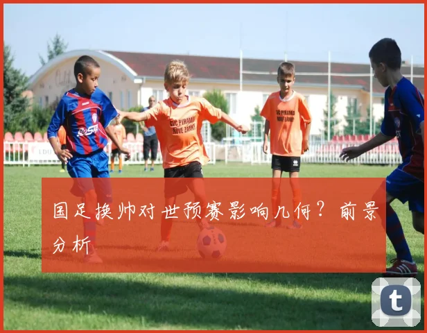 国足换帅对世预赛影响几何?前景分析