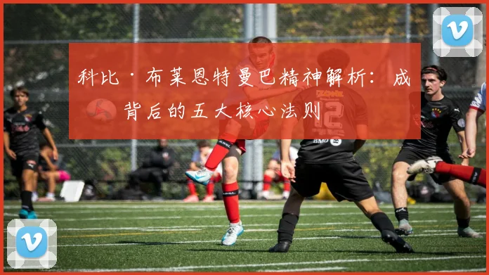 科比·布莱恩特曼巴精神解析:成功背后的五大核心法则