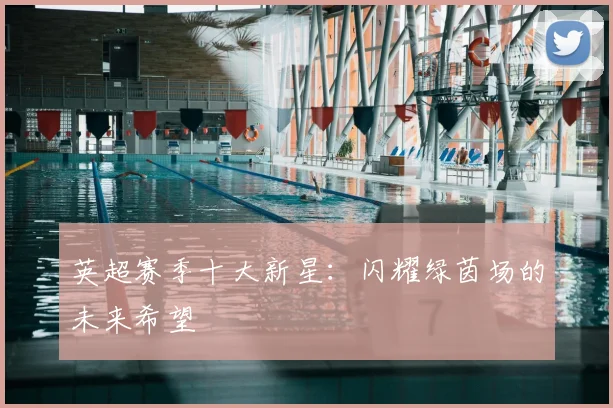 英超赛季十大新星:闪耀绿茵场的未来希望